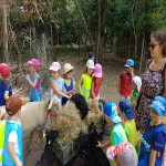 Sortie a la ferme pour les 3-5 ans.jpg