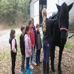 Sortie au centre equestre.jpg