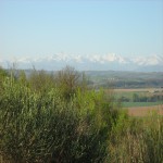 Pyrénées.jpg